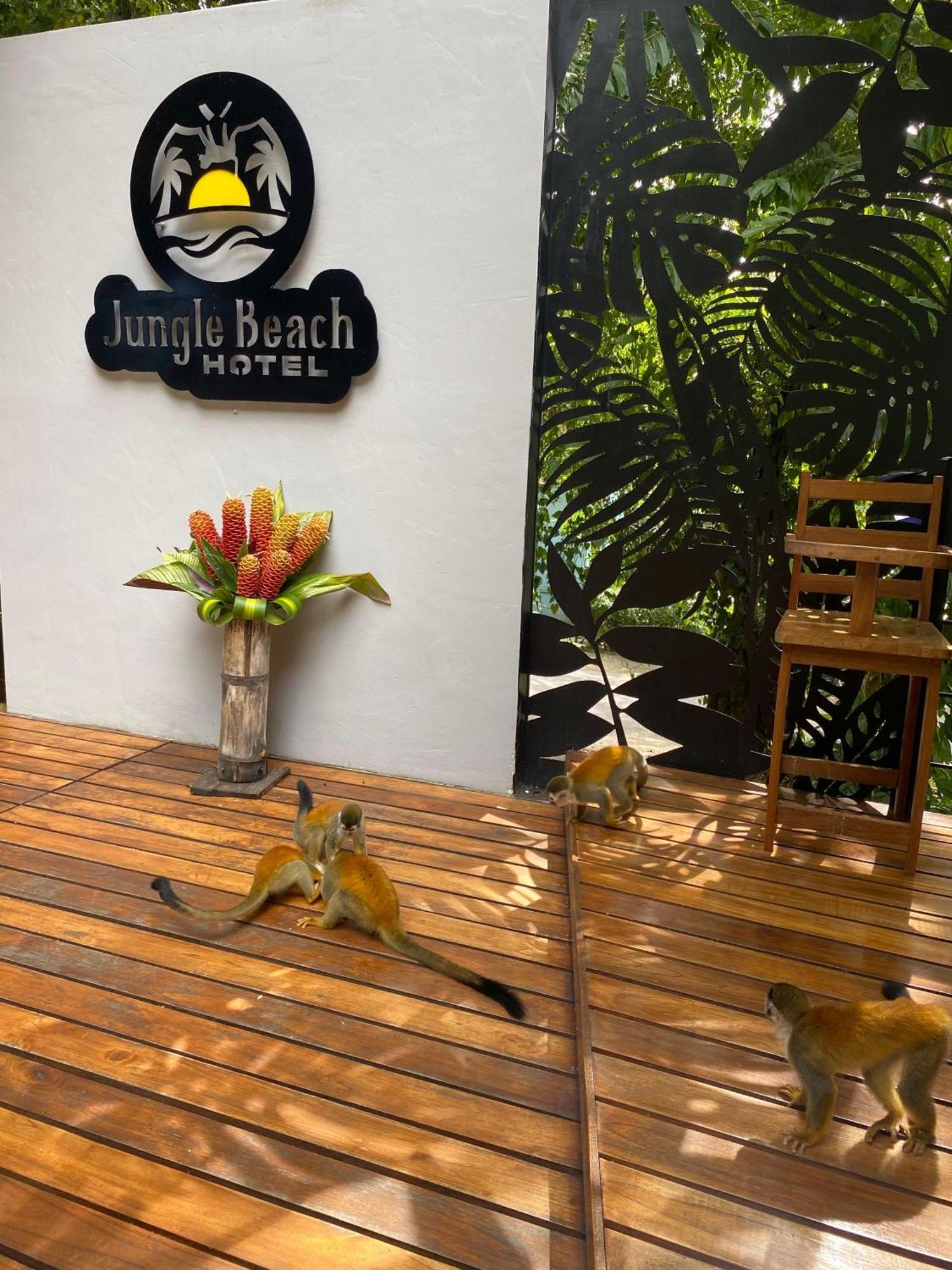 Jungle Beach Hotel Manuel Antonio Exteriör bild