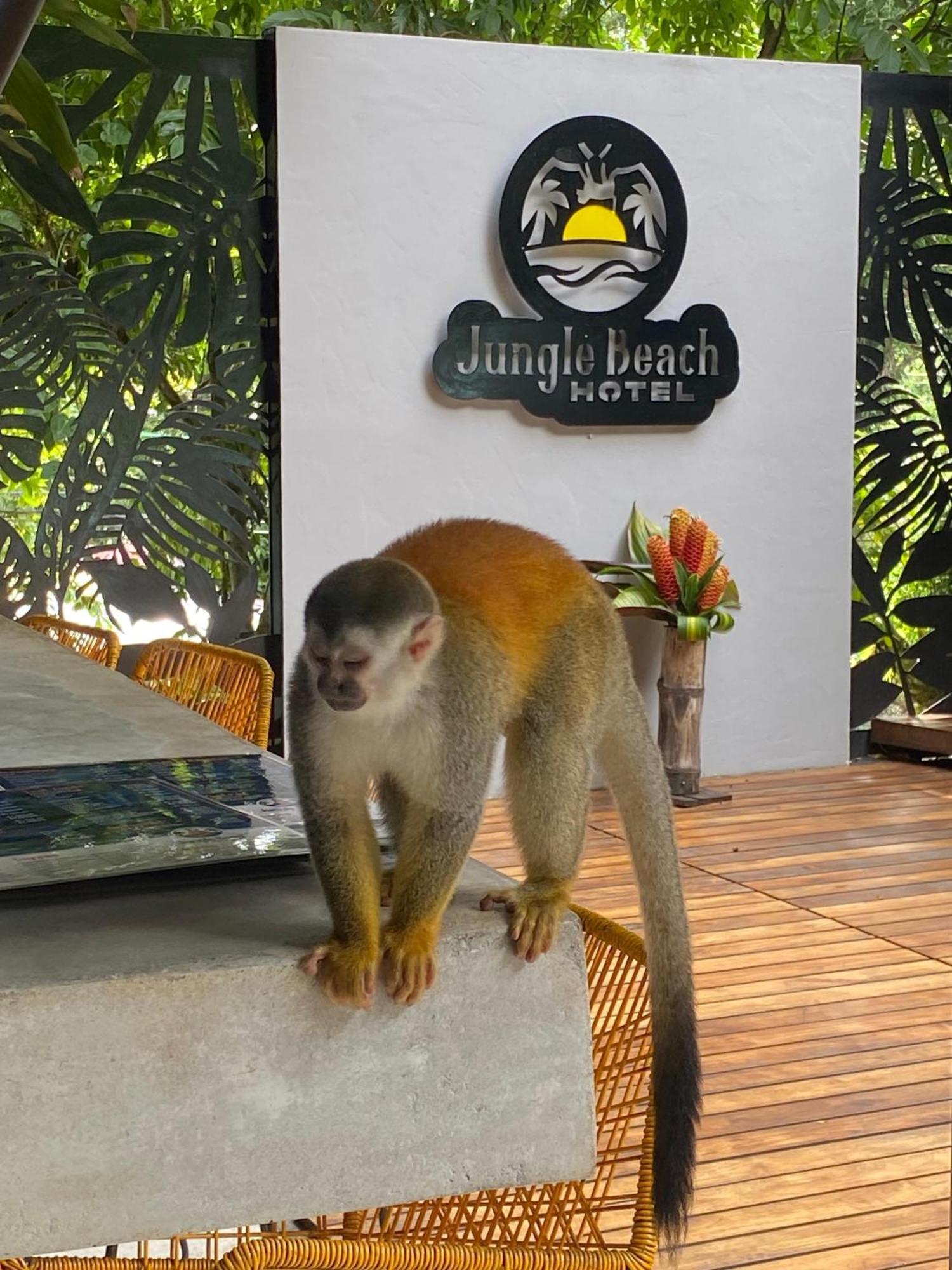 Jungle Beach Hotel Manuel Antonio Exteriör bild