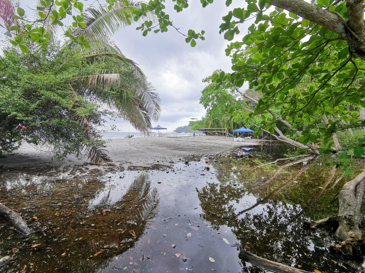 Jungle Beach Hotel Manuel Antonio Exteriör bild